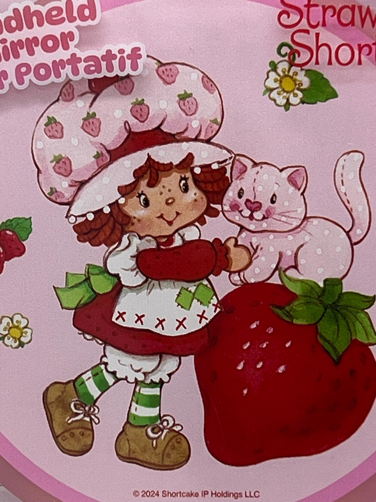 Strawberry Shortcake and Custard hand mirror
