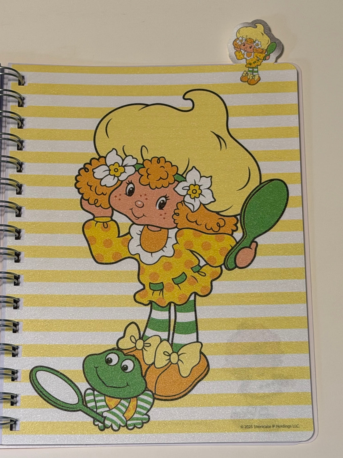 Strawberry Shortcake besties spiral bound tab journal