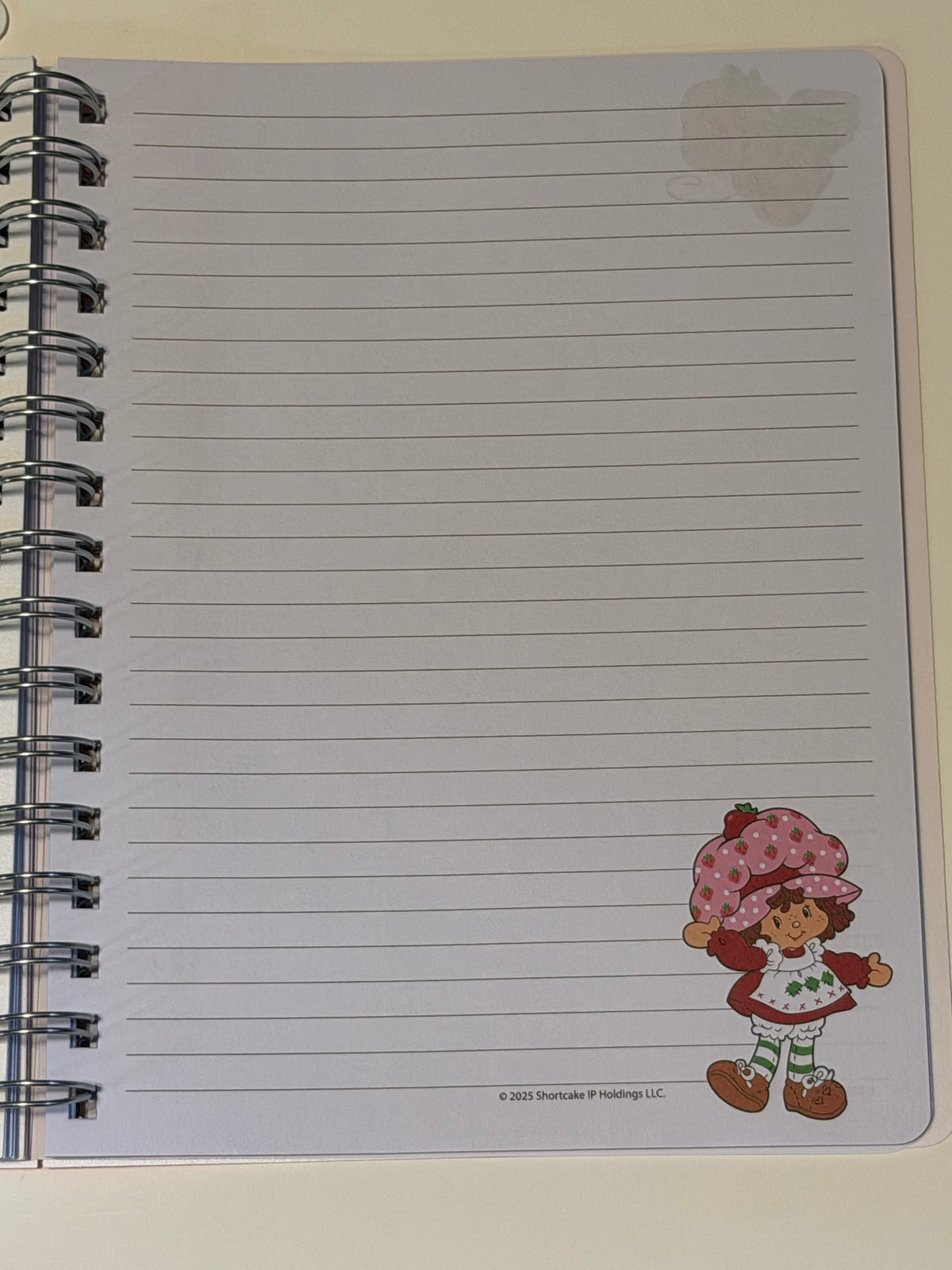 Strawberry Shortcake besties spiral bound tab journal