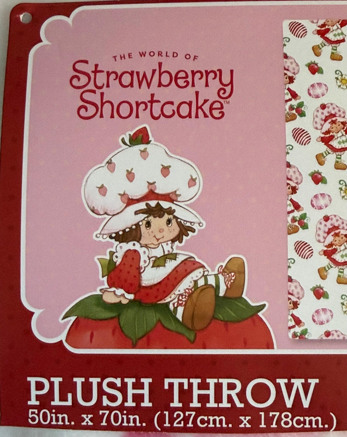 Strawberry Shortcake and Custard Easter egg Super Soft plush throw blanket