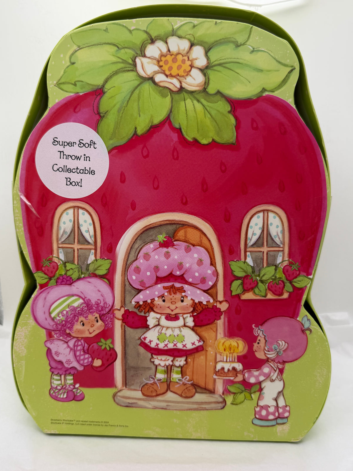 Strawberry Shortcake soft and cozy plush throw in Berry House gift box