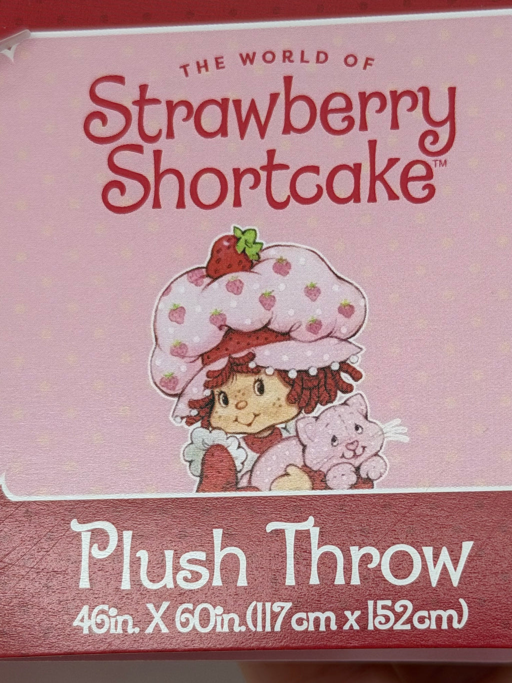 Strawberry Shortcake soft and cozy plush throw in Berry House gift box