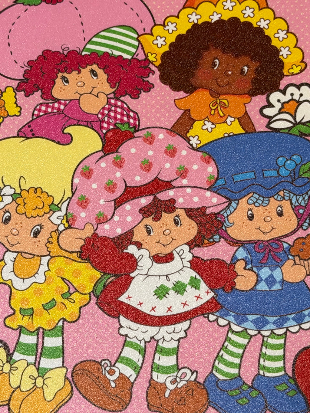 Strawberry Shortcake besties spiral bound tab journal