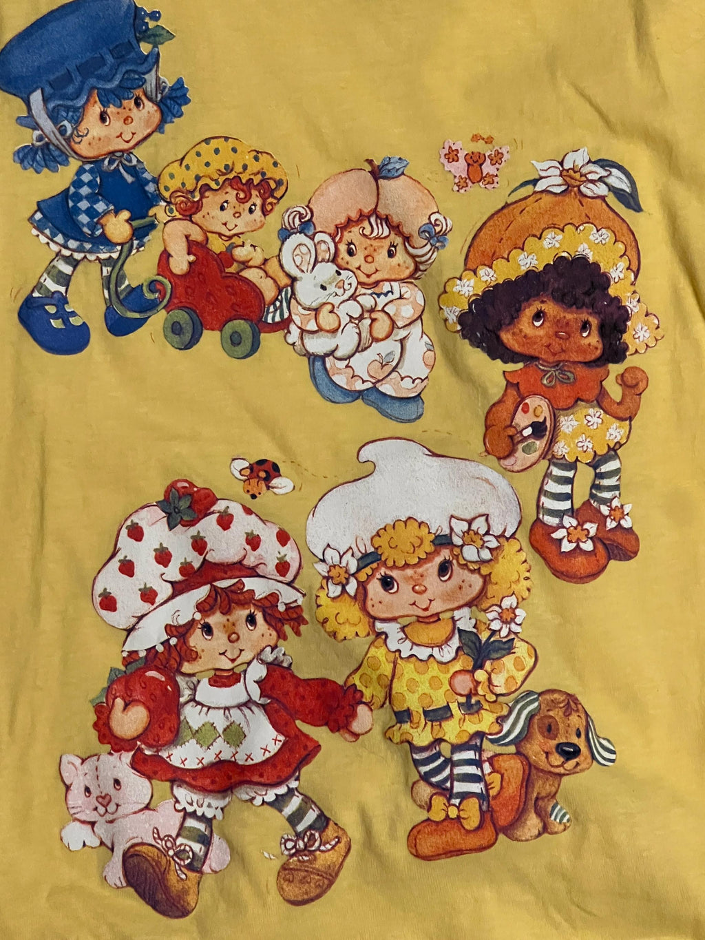 Strawberry Shortcake and friends Ladies size L crop top style tee