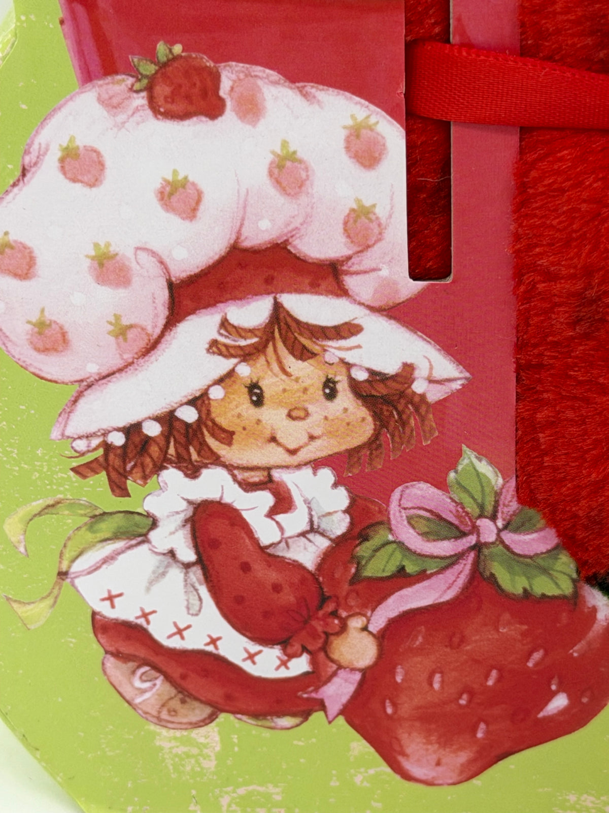Strawberry Shortcake soft and cozy plush throw in Berry House gift box