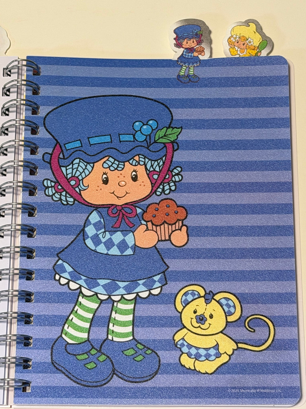 Strawberry Shortcake besties spiral bound tab journal
