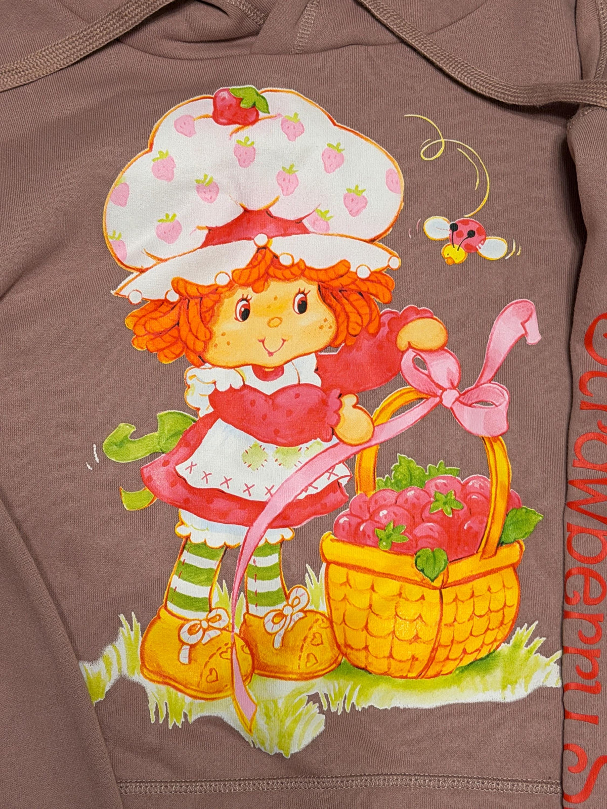 Mauve Strawberry Shortcake and berry basket drawstring hoodie ladies size SM and M