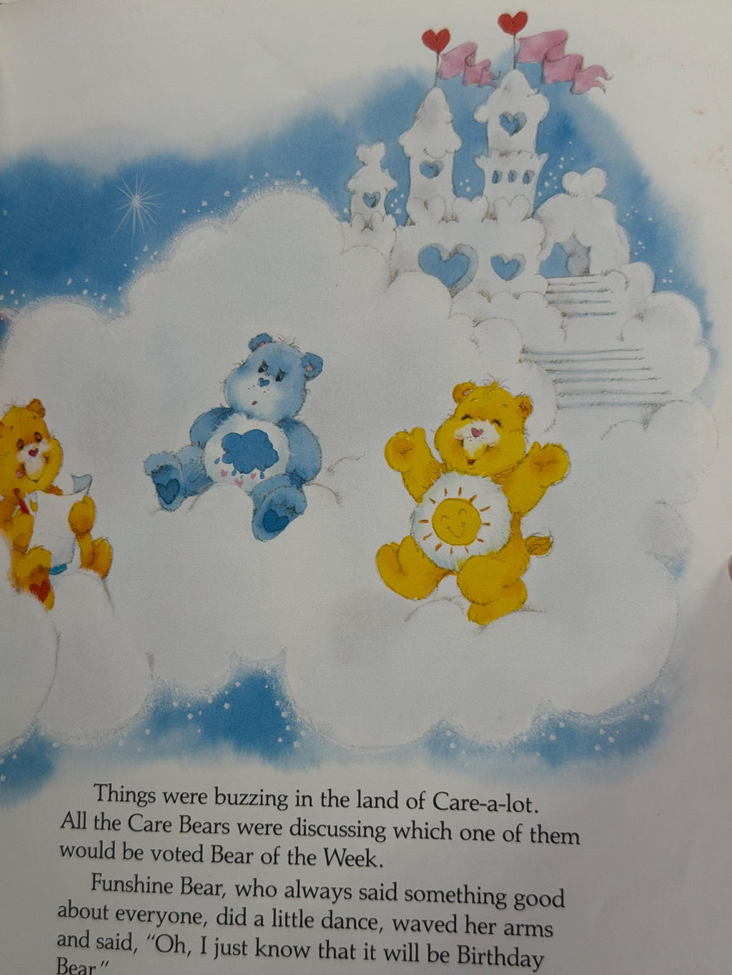 Care Bears Picture book lot of 2