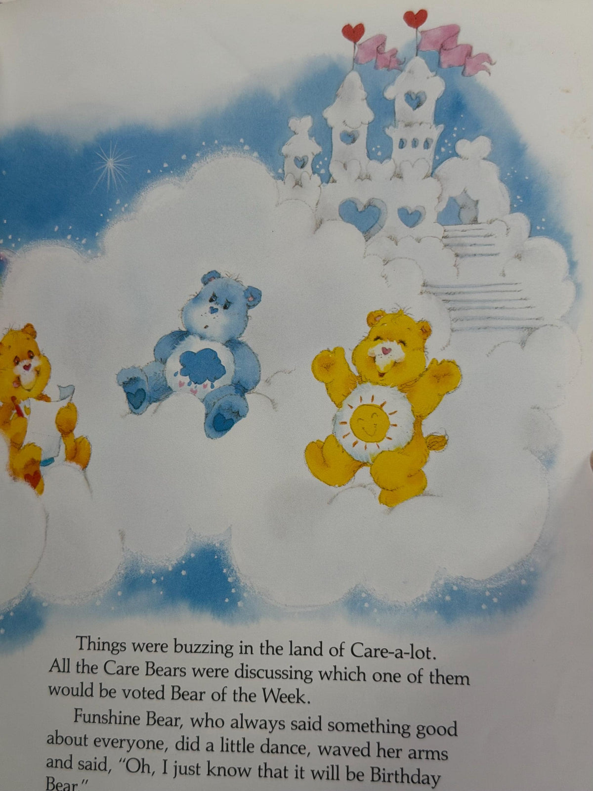 Care Bears Picture book lot of 2