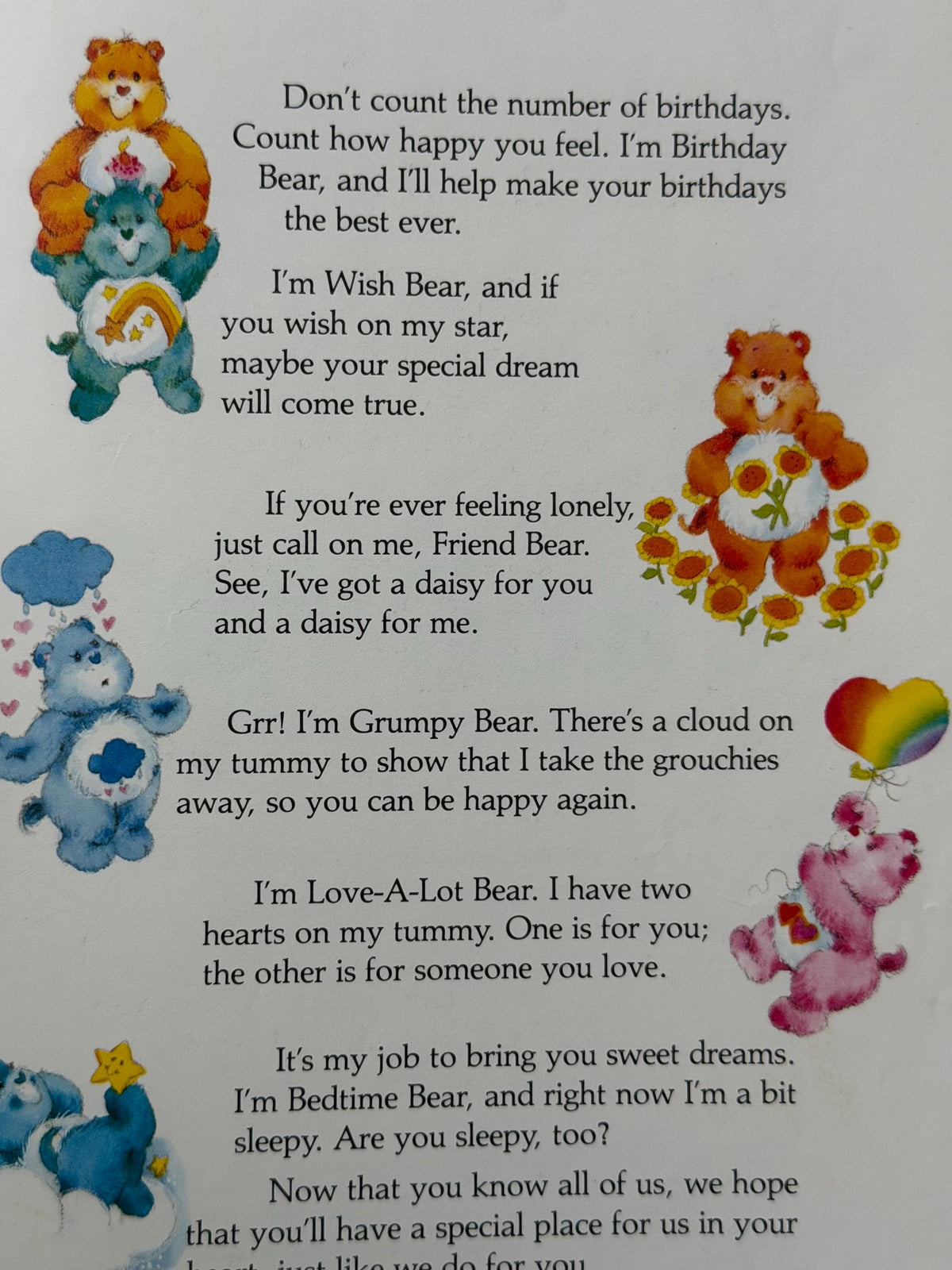 Care Bears Picture book lot of 2